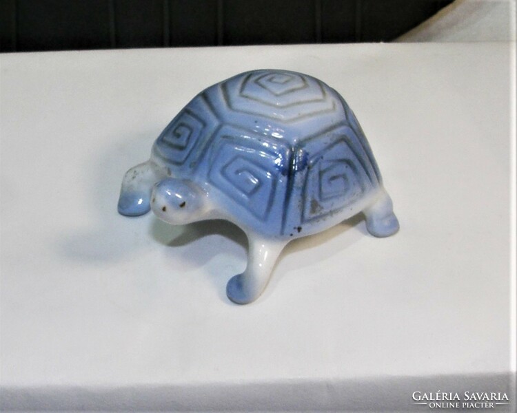 Tortoise - aquincumi with aqua painting