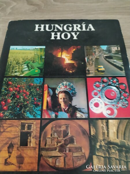 In Spanish, hungria hoy from Hungary