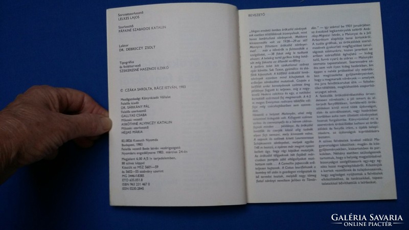 Czáka cornered - István Rácz: about evergreens and pines, 1983.