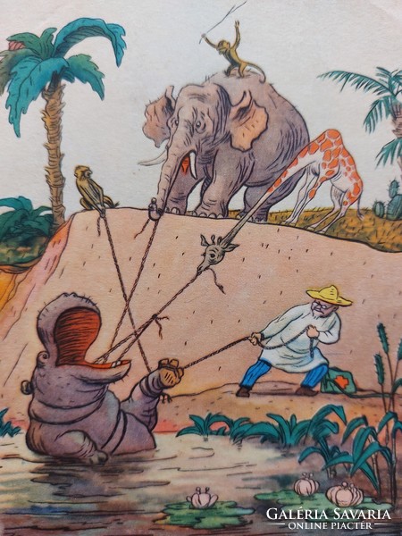 Régi orosz képeslap 1957 levelezőlap elefánt viziló zsiráf majom