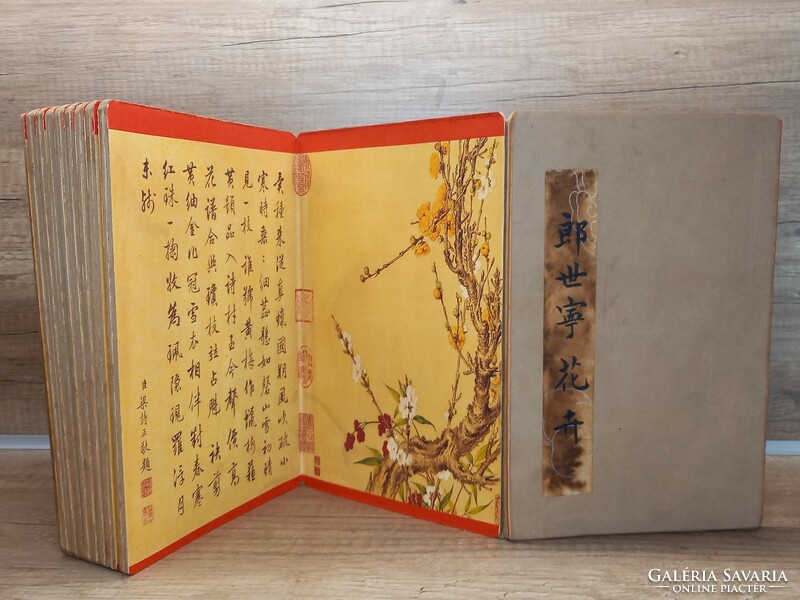 Chinese lang sining botany book(art reprint)