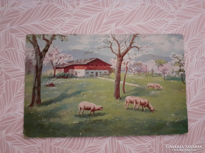 Old lamb postcard Easter postcard spring landscape blooming trees