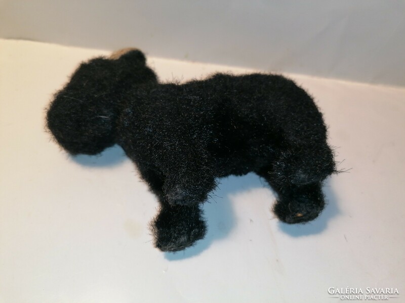 Old Black Dog, Terrier (790)