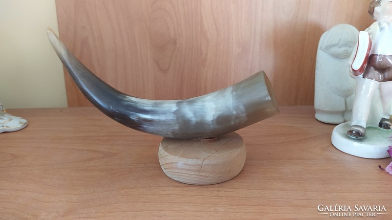 (K) horn ornament