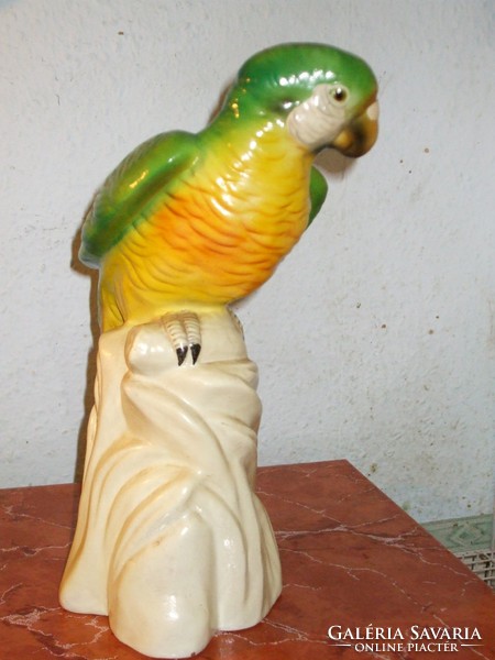 Large green yellow macaw parrot.
