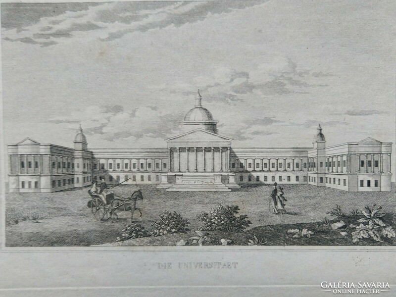 London, university college. Original woodcut ca. 1843