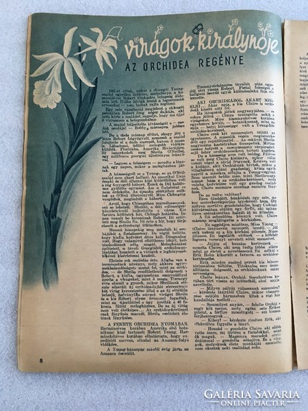 Magyar Nők Lapja 1943. január 20., V. évfolyam 3. szám