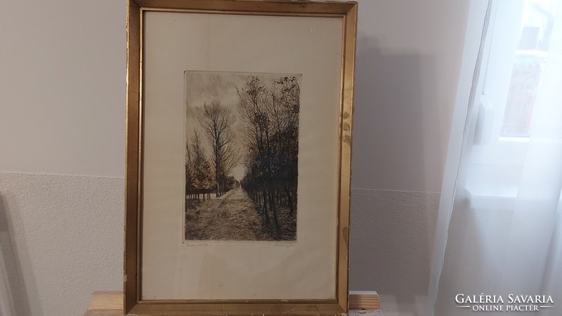 (K) beautiful Scultéty Éva etching 37x52 cm with frame
