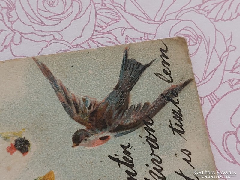 Régi képeslap 1902 levelezőlap nefelejcs fecske virág