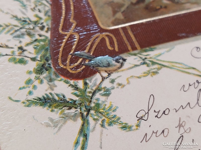 Régi képeslap 1901 dombornyomott levelezőlap tajkép erdő
