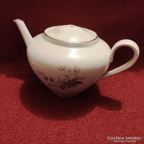 Stadtlengsfeld porcelain teapot, tea spout