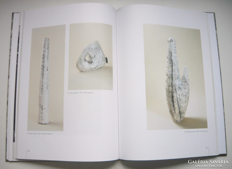 Life and work of Lívia Gorka, book and catalog (t006)