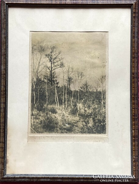 Birch grove from 1930. Lithography.