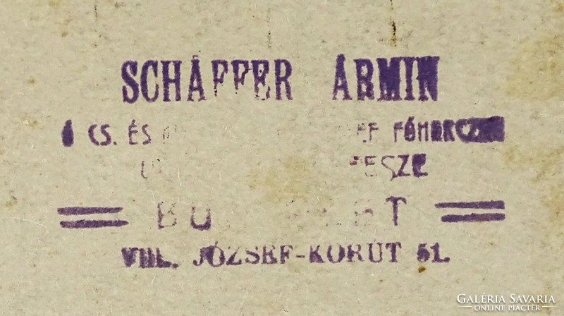 1L587 antique monarchical military photography group picture schäfer armin