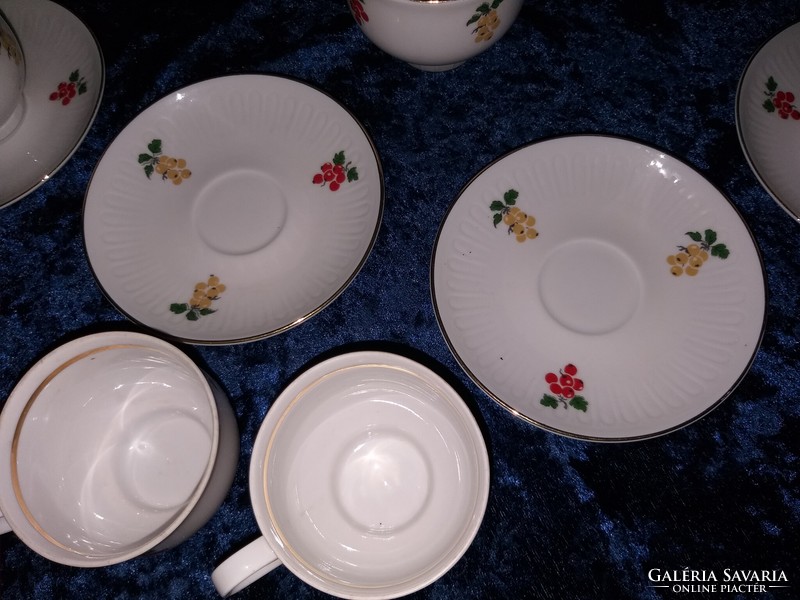 Henneberg German porcelain 6-person coffee set mocha set with currant pattern