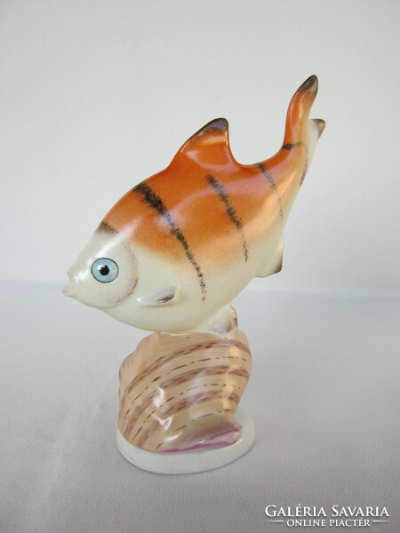 Porcelain fish snail from Drasche quarries