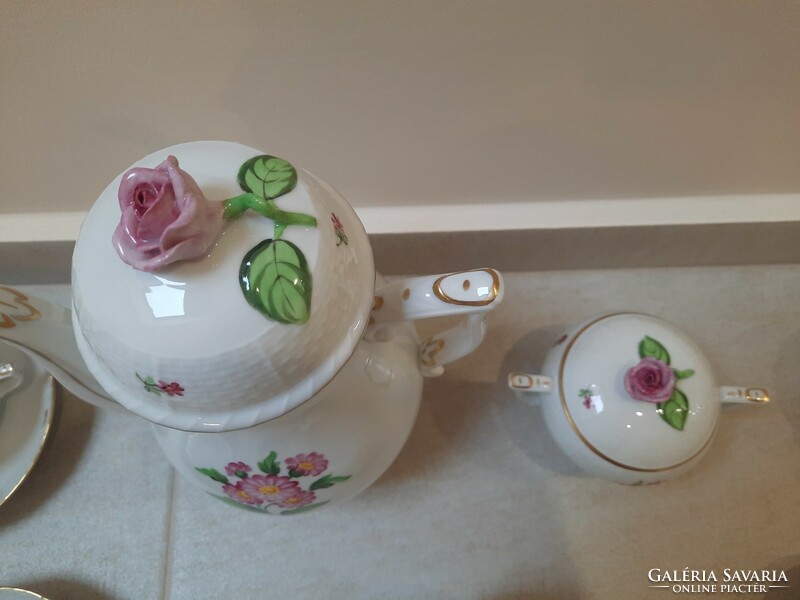 Herend map pattern porcelain tea set, tea set