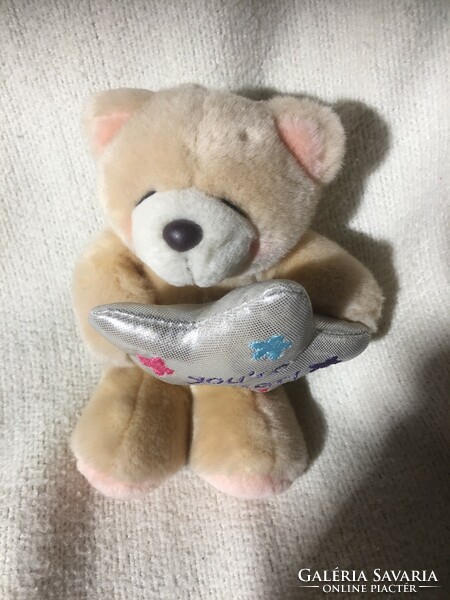 Little teddy bear with a star