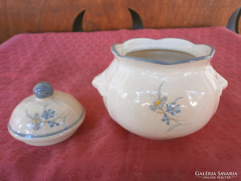 Antique porcelain sugar bowl
