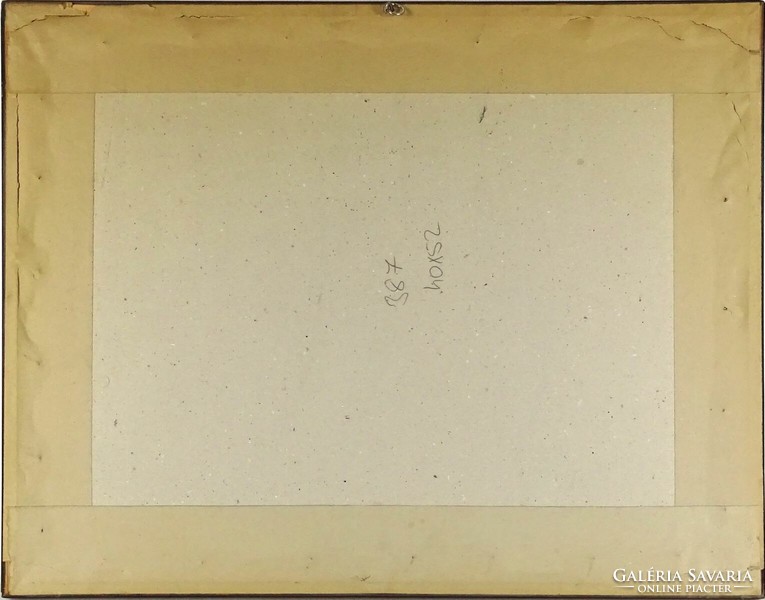 1L687 Oszkár Schneider képes atlasz III. tábla 42.5 x 54.5 cm