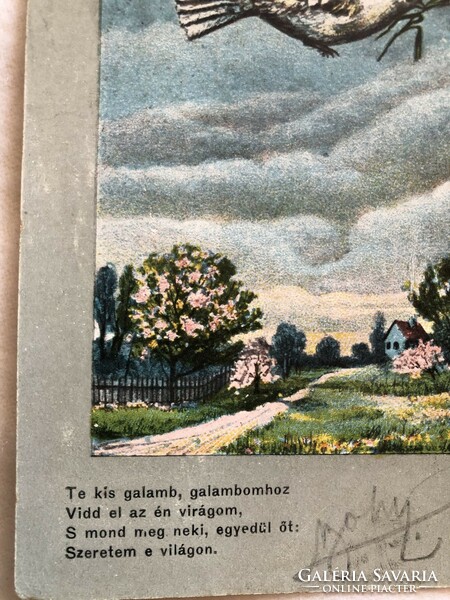 Antik hosszúcímzéses romantikus képeslap - 1904 , Galamb, vers                     -3.