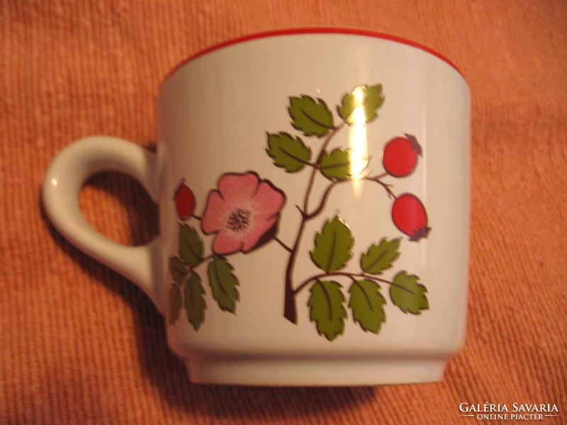 Mug with rose hips, wild rose, waechtersbach, Germany