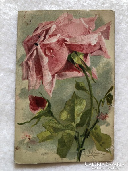 Antique chatarina klein litho floral postcard -3.