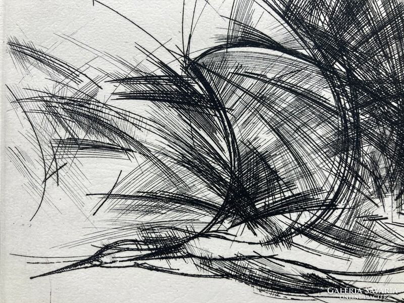 tibor Rozanits (1931-): storks, cold needle, marked graphics