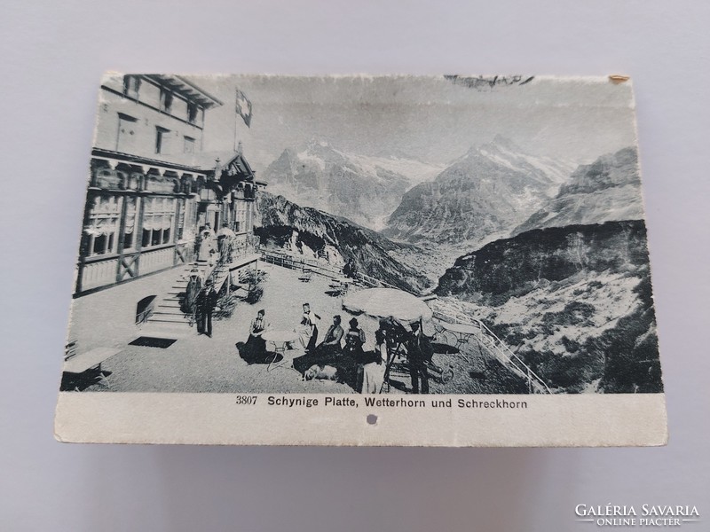 Old postcard 1909 switzerland schynige platte lauterbrunnen hotel bellevue rare postcard
