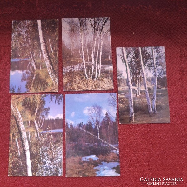 5 pieces from a series of Russian card calendars from 1982 - forest (together)