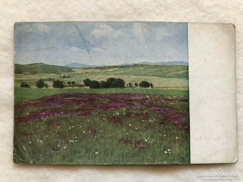 Antique postcard -3.