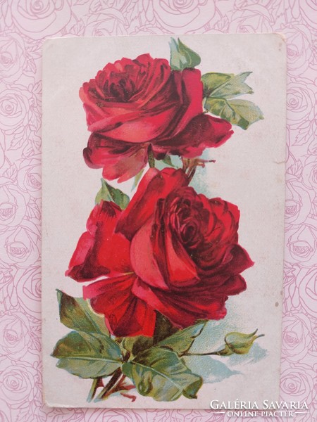 Old floral postcard postcard with red roses