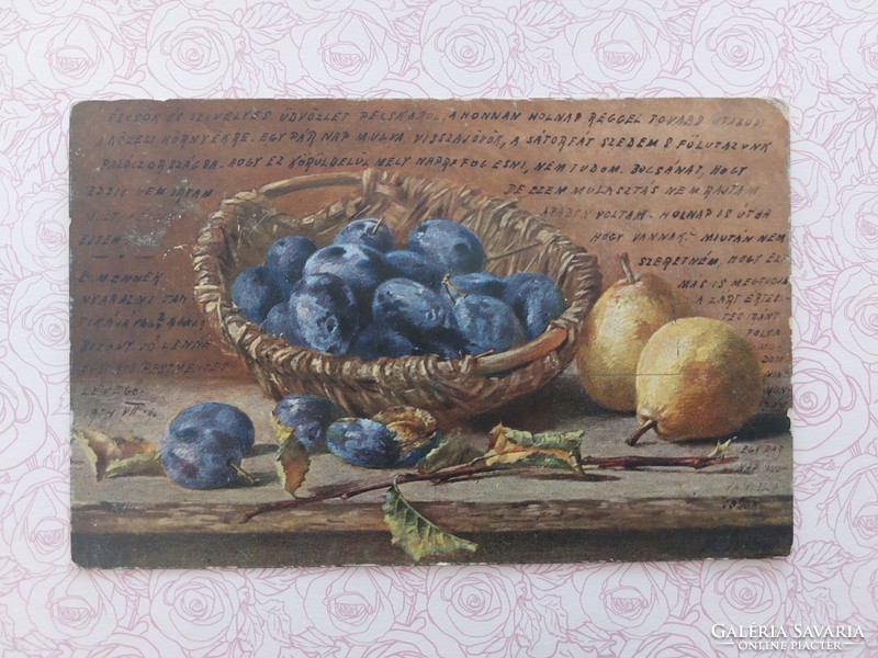 Old postcard 1904 art postcard fruit still life plum pear