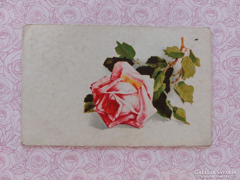 Old floral postcard 1934 postcard with roses