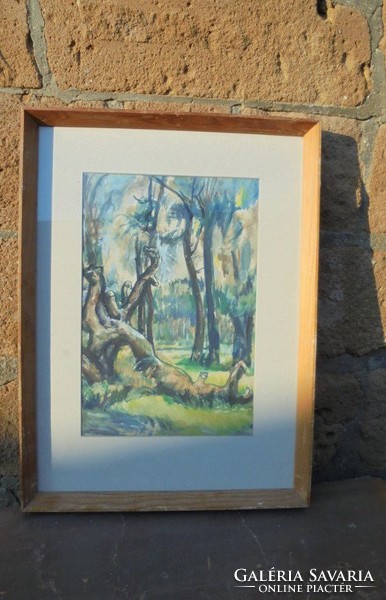 Gábér Bérces: old tree in the grove of watercolor paper
