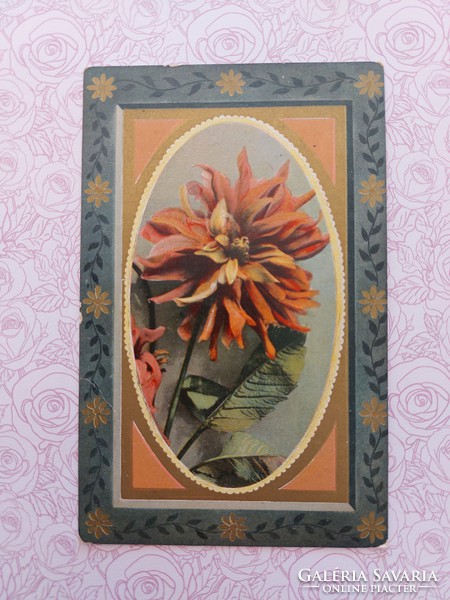 Old postcard postcard with dahlias