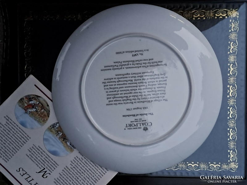 Coalport fine bone china made in England collector's English bone china decorative plates 27 cm napoleon