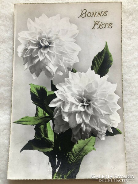 Old floral postcard -3.
