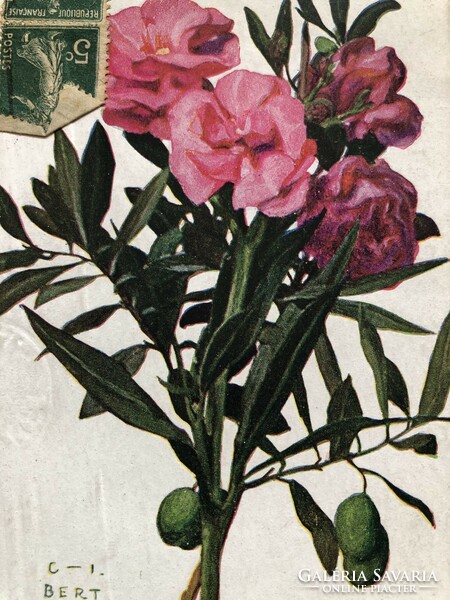 Antik, régi virágos képeslap - 1926                                        -3.