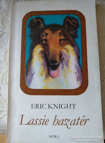 Knight: lassie returns home, propose!