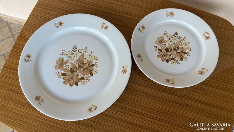Great Plain 2 plates large flat plate small plate brown floral