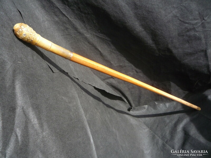 A walking stick.