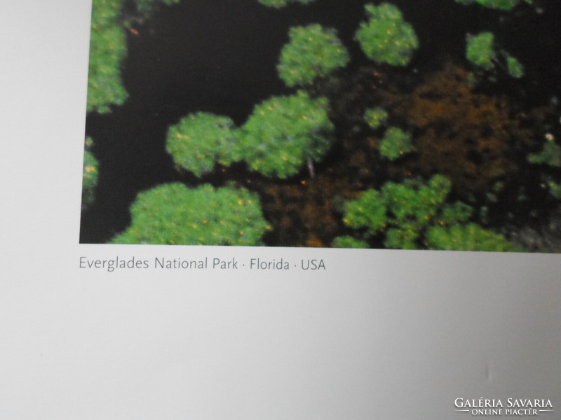 Poszter 29.: Everglades Nemzeti Park, Florida, USA (fotó)