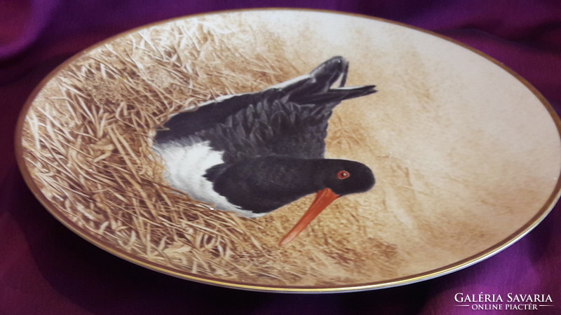 Csigaforgató madaras porcelán dísztányér, falitányér (L3389)