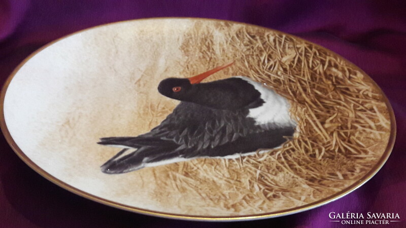 Csigaforgató madaras porcelán dísztányér, falitányér (L3389)