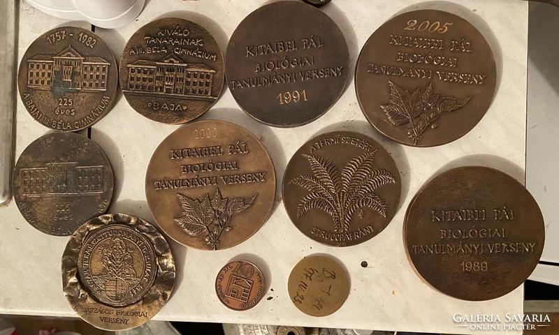 Bronze plaques