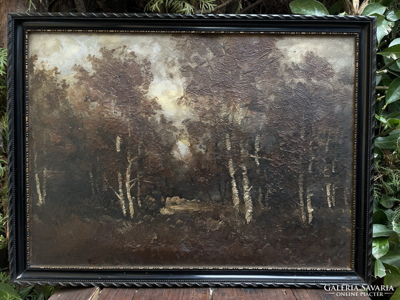 István Krecsmár: autumn forest