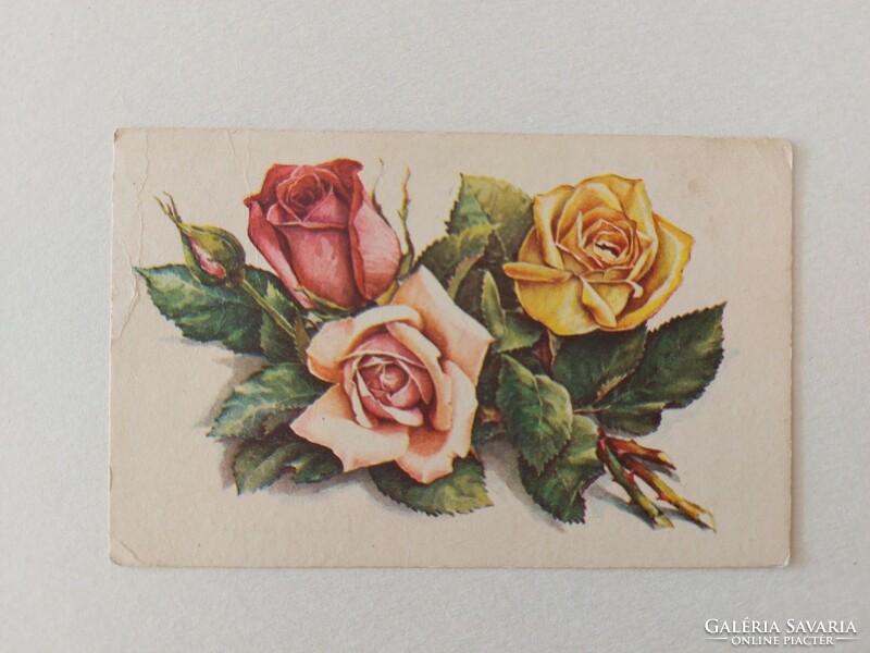 Régi virágos képeslap rajzos levelezőlap rózsa
