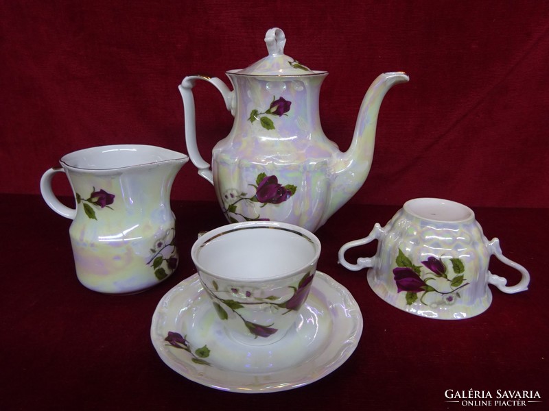 Walbrzych Glazed Polish Porcelain Tea Set Diameter ??? 25 pieces, rose pattern. He has!