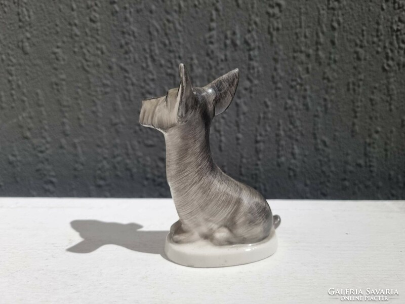Ritka Drasche porcelán figura - skót terrier foxi kutya - 51122